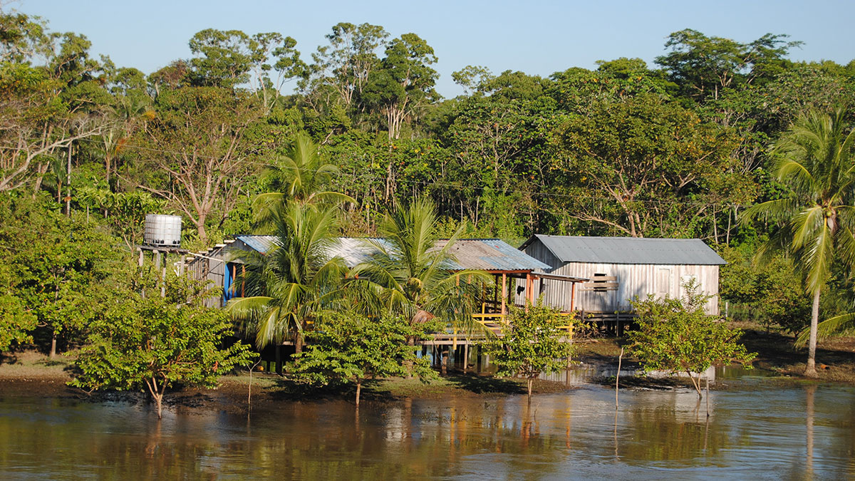 Amazonas