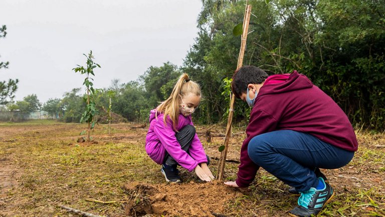 Plantio Canoas Aegea