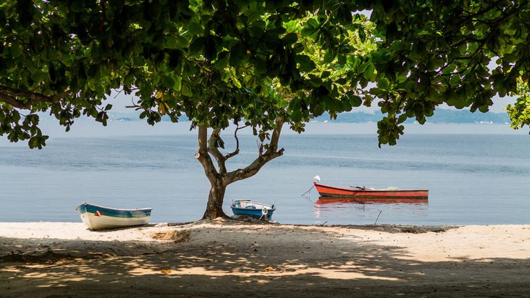 Praia limpa na Baía de Guanabara
