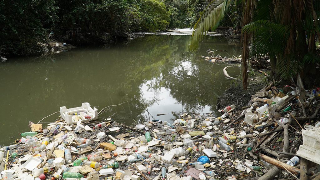 Agonia dos rios brasileiros entre os estudos sobre a situação da água