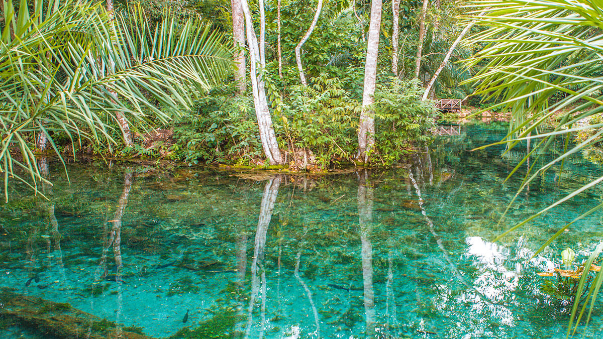 Relatório Anual de Sustentabilidade mostra atuação ambiental da Aegea