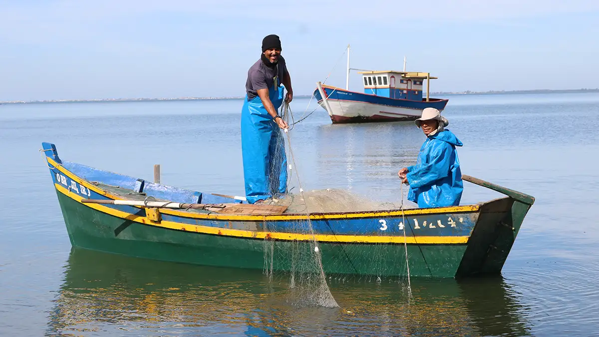 Embarcações repletas de peixes e estruturação para a classe