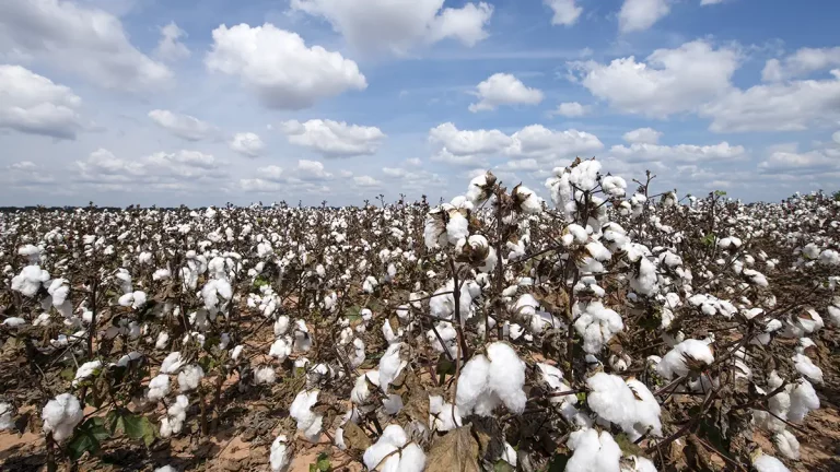 Águas de Campo Verde investe em segurança hídrica