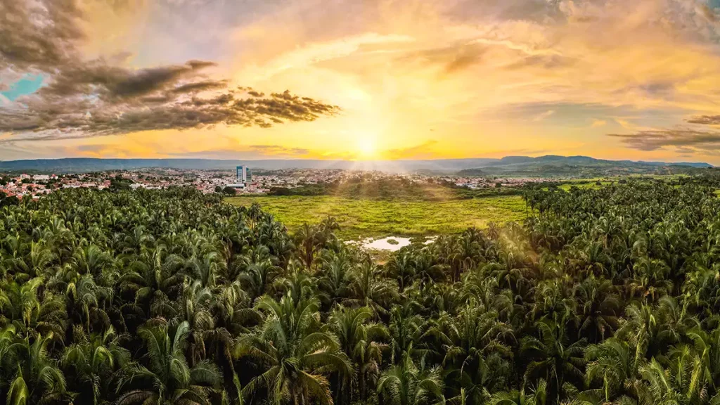 Destinação correta de resíduos sólidos é presente para o meio ambiente