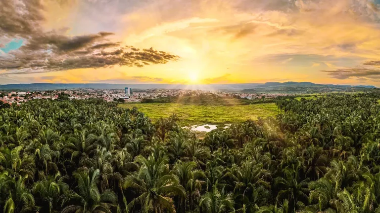 Destinação correta de resíduos sólidos é presente para o meio ambiente