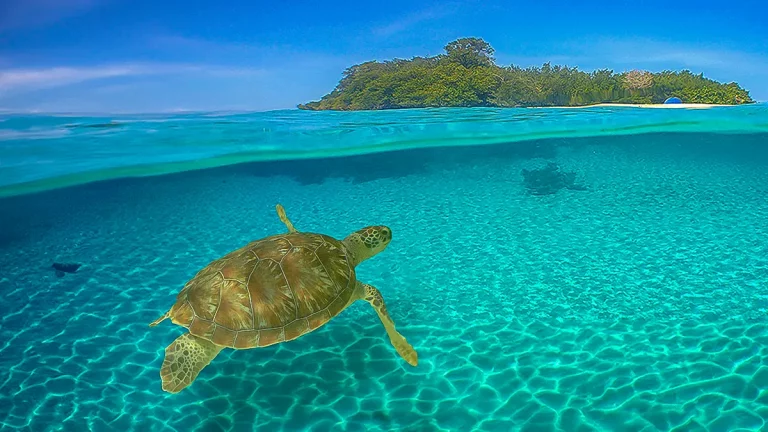 Caminhos para um oceano mais sustentável