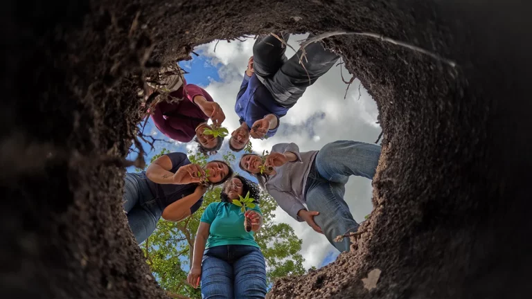 Plantando a água do futuro