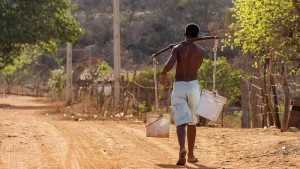 Água de poço e fossa séptica: riscos para a saúde