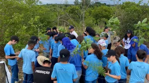 Estudantes lideram restauração ambiental em olimpíada nacional