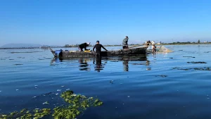 União de esforços melhora qualidade da água na Lagoa de Araruama