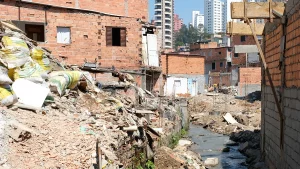 Clima, território e cor: live discute racismo ambiental e justiça climática