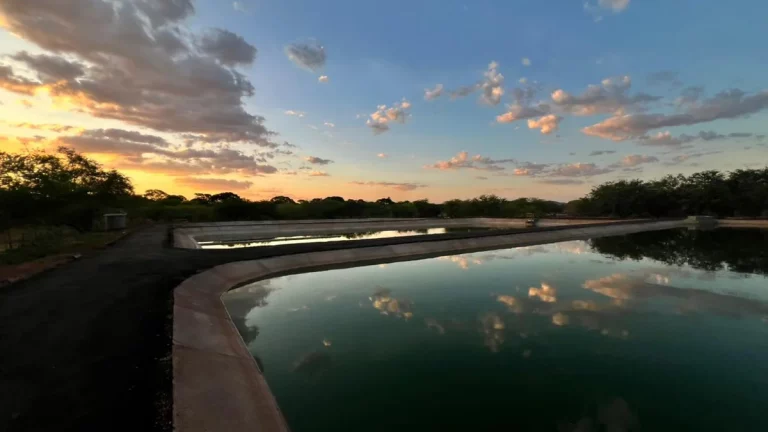 Conexão à rede de esgoto avança com ampliação e mobilização no Ceará