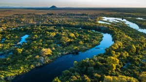 Saneamento e educação ambiental fortalecem a proteção do Pantanal