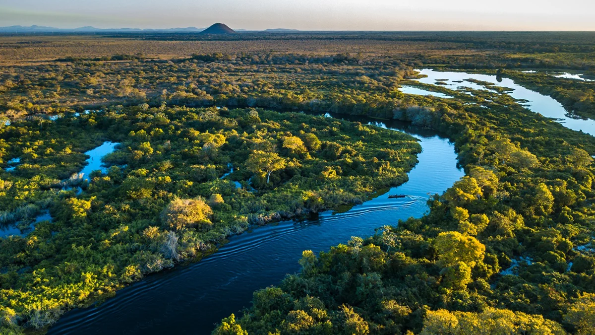 Saneamento e educação ambiental fortalecem a proteção do Pantanal