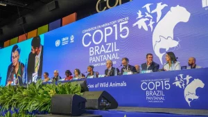 Vídeo mostra que não existe preservação ambiental sem saneamento