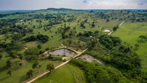 Saneamento reforça papel estratégico na sustentabilidade