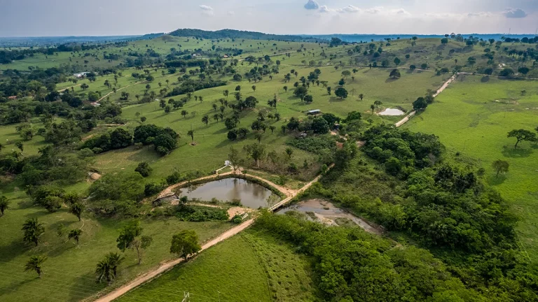 Saneamento reforça papel estratégico na sustentabilidade