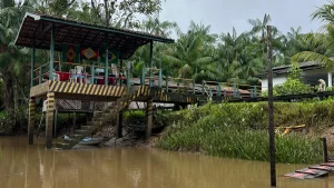 UNICEF e Instituto Aegea levam saneamento a escolas rurais do Pará