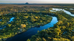 No Mês do Meio Ambiente, ações que ajudam a salvar o planeta