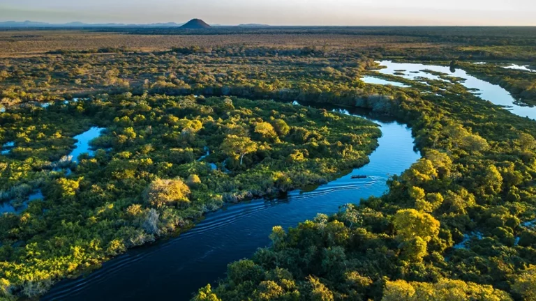 No Mês do Meio Ambiente, ações que ajudam a salvar o planeta