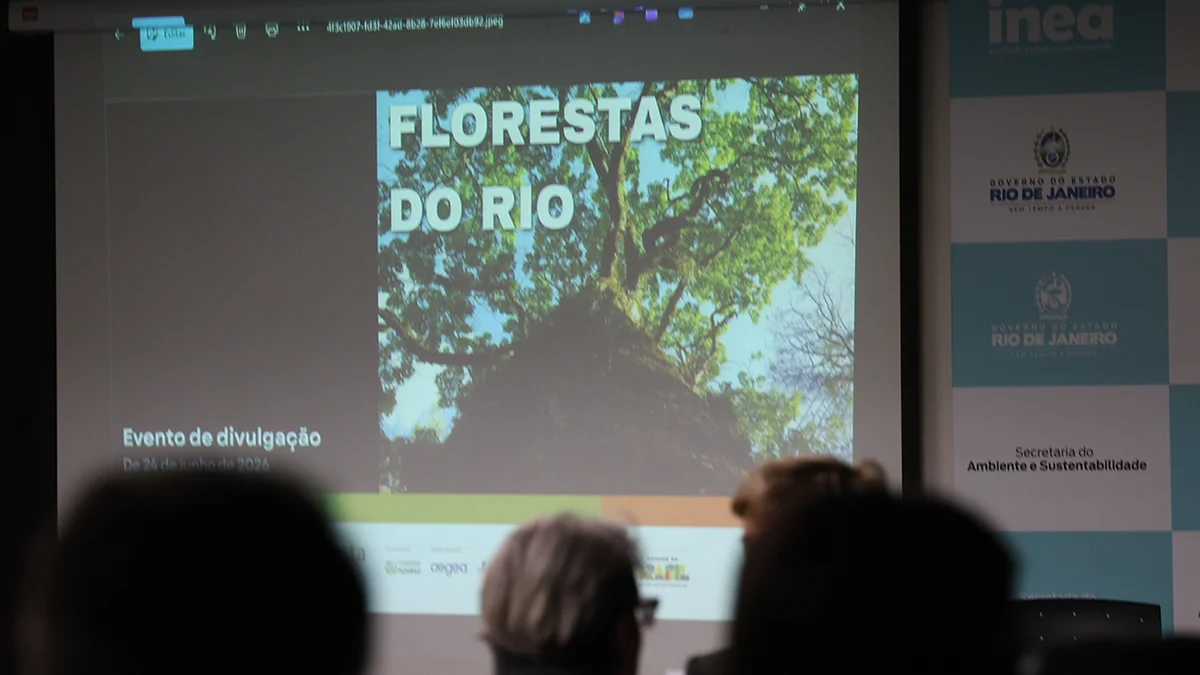 Como o Florestas do Rio ajuda a proteger a água do futuro